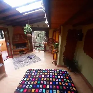 Botanico Pensión
